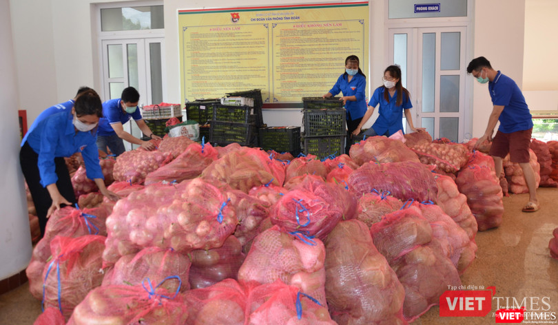 Cán bộ Tỉnh Đoàn sắp xếp kho rau cho MTTQ tỉnh Cán bộ Tỉnh Đoàn sắp xếp kho rau cho MTTQ tỉnh