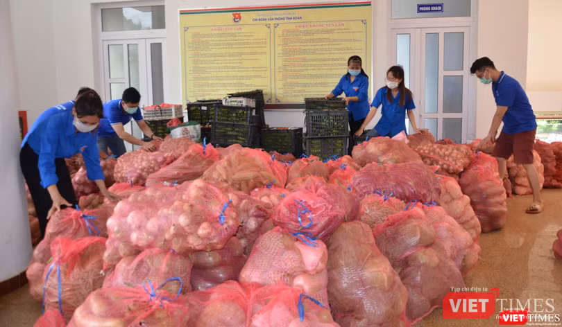 Cán bộ Tỉnh Đoàn sắp xếp kho rau cho MTTQ tỉnh