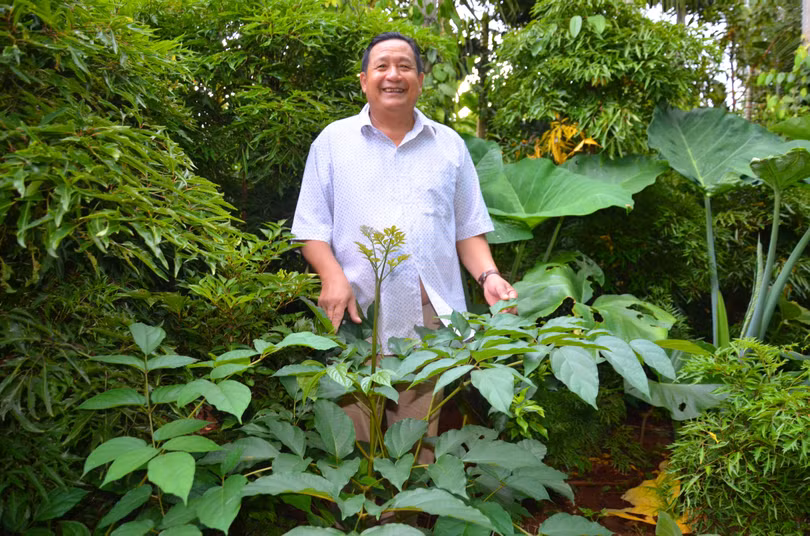 Anh thích loay hoay cả ngày trong những khu vườn xanh rì cây thuốc