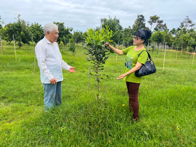 Giáo sư Hoàng Hòe trao đổi với tác giả giữa vườn mắc ca mới trồng