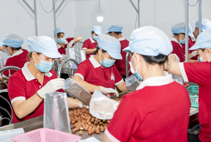 Qua khâu chế biến, đóng gói thành phẩm, giá tăng gấp đôi Qua khâu chế biến, đóng gói thành phẩm, giá tăng gấp đôi