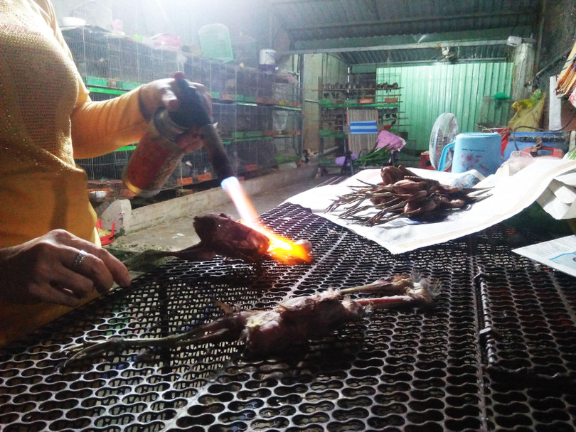 Hy vọng hành vi bạo tàn này sẽ không còn tái diễn tại Thạnh Hóa