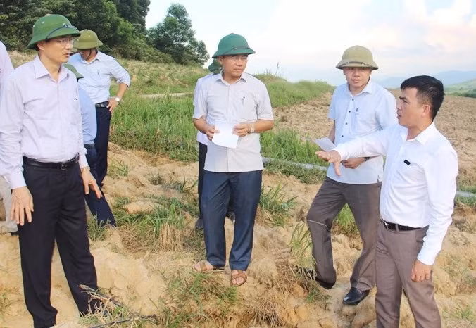 Một dự án không thấy trong báo cáo ảnh 1