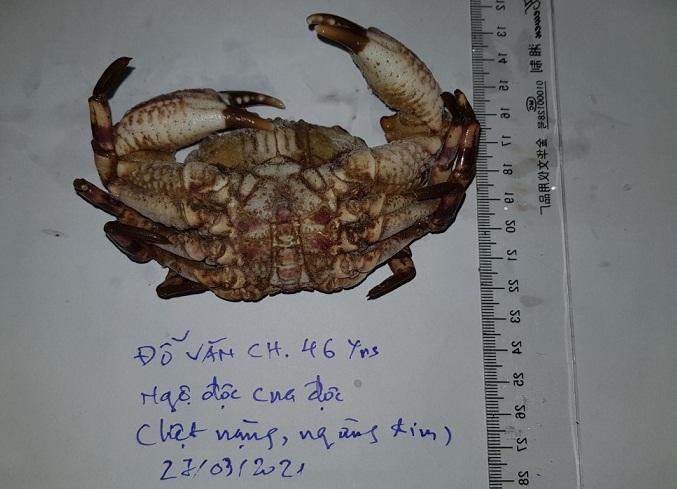 BS đưa lời khuyên người dân không nên ăn những loại cua dị thường