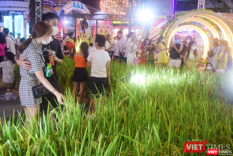 Đường hoa Nguyễn Huệ chào đón hàng triệu lượt người dân TP.HCM đến vui chơi dịp Tết Nhâm Dần. Ảnh: Hoà Bình