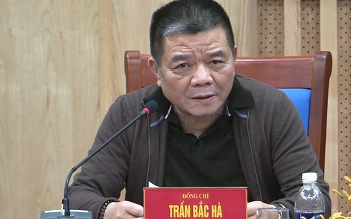 Mức thù lao 2,5 triệu đồng/tháng của con trai ông Trần Bắc Hà tại Cảng Quy Nhơn ảnh 1