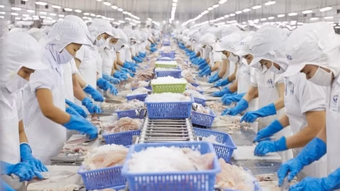 Vĩnh Hoàn (VHC) báo lãi sau thuế cả năm 2021 ở mức 1.110,1 tỉ đồng, tăng trưởng 54%