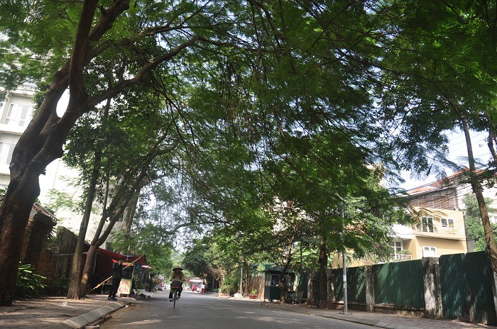 Dinh cơ trăm tỷ của “bầu” Kiên thay áo mới ảnh 10