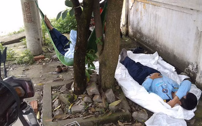 Ảnh minh họa. (Nguồn: Internet)