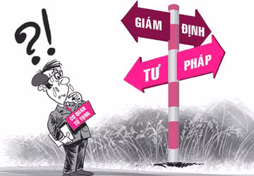 Ảnh minh họa. (Nguồn: Internet)