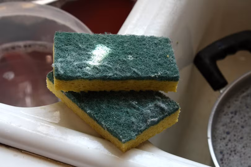 Miếng bọt biển rửa bát, lau chùi nhà bếp cũng là một vật dụng chứa rất nhiều vi khuẩn
