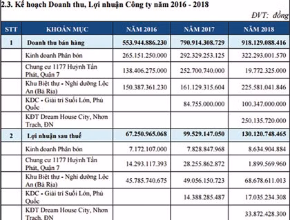 EPS chỉ 791 đồng, DRH vẫn tăng gần 200% trong 1 tháng: Bị thâu tóm hay do đội lái? ảnh 1