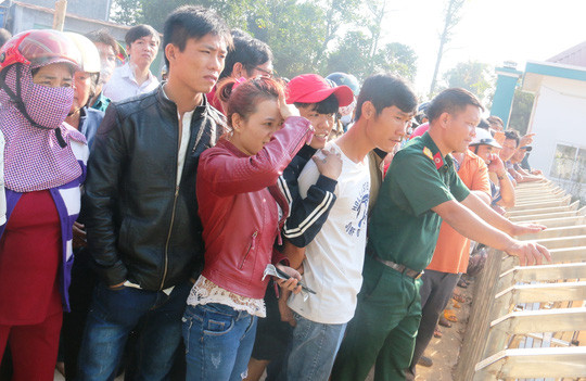 Nổ súng bắn hạ “trâu điên” húc 3 người trọng thương ảnh 1 Nổ súng bắn hạ “trâu điên” húc 3 người trọng thương ảnh 1