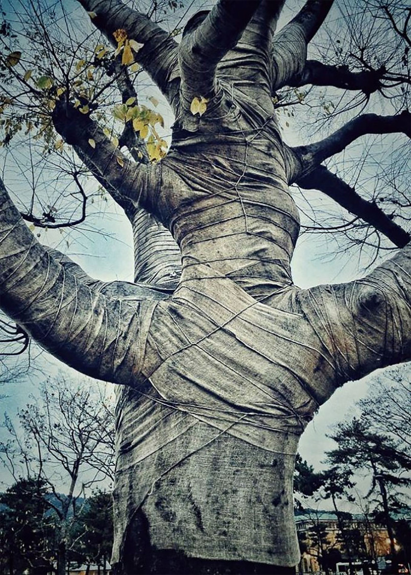 Những tấm ảnh xuất sắc nhất năm 2017 được chụp từ iPhone (Phần 2) ảnh 15