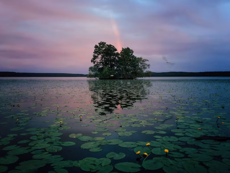 Những tấm ảnh xuất sắc nhất năm 2017 được chụp từ iPhone (Phần 2) ảnh 10