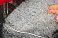 Băng giá xuất hiện trên các yên xe máy vào khoảng 4h sáng 11/1 tại làng Tắc Lang, thôn 3, xã Trà Linh. Ảnh CTV.