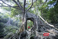 Đà Nẵng chính thức tung chuỗi sản phẩm du lịch “Đà Nẵng - Chạm về Nguyên bản” nhằm thu hút du khách, góp phần thúc đẩy phát triển kinh tế Đà Nẵng đạt mục tiêu tăng trưởng 2 con số trong năm 2026.