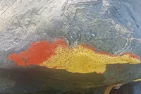 Lớp “hoa” đỏ xuất hiện trên tảng đá ở Thạnh Bình (Đà Nẵng) không phải địa y mà có thể là trứng của một loài bướm đêm. Ảnh Xuân Tiện