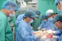 Năm 2025, Bệnh viện Trung ương Huế thực hiện 10.500 ca ghép tạng, chiếm 1/4 tổng số ca ghép tạng cả nước.