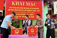 Cử tri Đà Nẵng bỏ phiếu bầu cử Đại biểu Quốc hội khóa XVI và đại biểu Hội đồng nhân dân các cấp nhiệm kỳ 2026-2031.