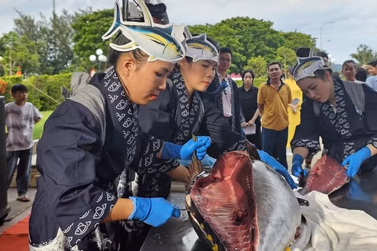 Gia Lai quảng bá với khách du lịch bằng ẩm thực cá ngừ đại dương.