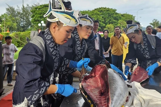 Gia Lai quảng bá với khách du lịch bằng ẩm thực cá ngừ đại dương.
