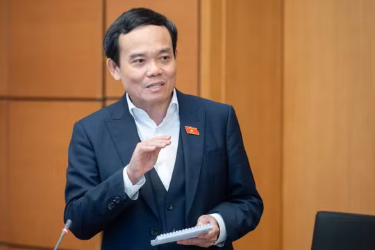 Ông Trần Lưu Quang, Bí thư Thành ủy TP Hồ Chí Minh.