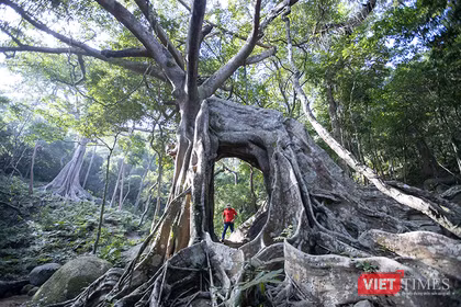 Đà Nẵng chính thức tung chuỗi sản phẩm du lịch “Đà Nẵng - Chạm về Nguyên bản” nhằm thu hút du khách, góp phần thúc đẩy phát triển kinh tế Đà Nẵng đạt mục tiêu tăng trưởng 2 con số trong năm 2026.