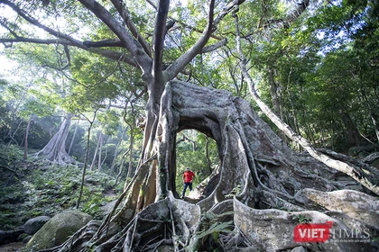 Đà Nẵng chính thức tung chuỗi sản phẩm du lịch “Đà Nẵng - Chạm về Nguyên bản” nhằm thu hút du khách, góp phần thúc đẩy phát triển kinh tế Đà Nẵng đạt mục tiêu tăng trưởng 2 con số trong năm 2026.