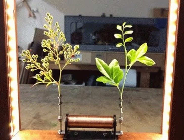 Ảnh: BrightSide Ảnh: BrightSide