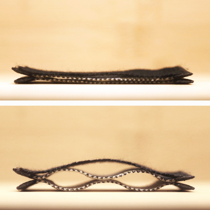 Ảnh: BrightSide Ảnh: BrightSide