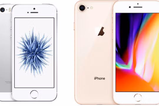 iPhone SE và iPhone 8 của Apple. Ảnh: Macrumors