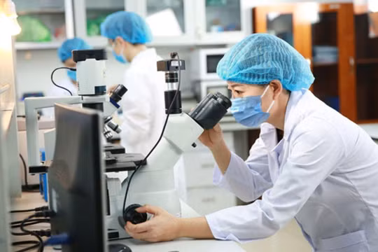 Bộ KH&CN lên kế hoạch phát triển nguồn nhân lực số