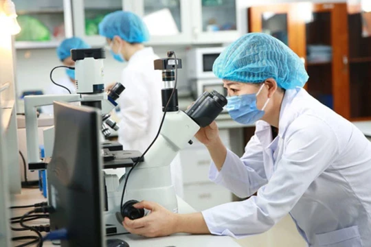 Bộ KH&CN lên kế hoạch phát triển nguồn nhân lực số