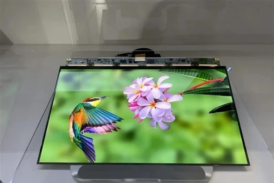 Trung Quốc bắt kịp Hàn Quốc về thị phần màn hình