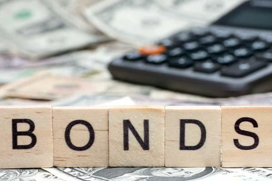 Ảnh minh họa (Nguồn: Internet)