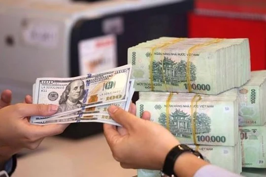 BVSC: Đà tăng của đồng USD là ngắn hạn, không tạo ra áp lực lớn với tỉ giá như năm 2022