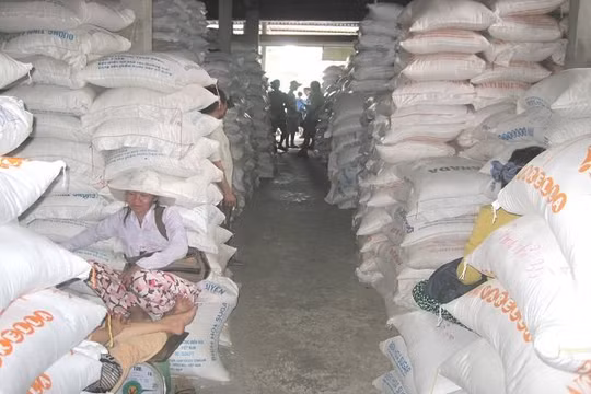 Gạo nhập kho tại chợ đầu mối Bà Đắc, huyện Cái Bè, tỉnh Tiền Giang. Ảnh minh họa: Trung Chánh