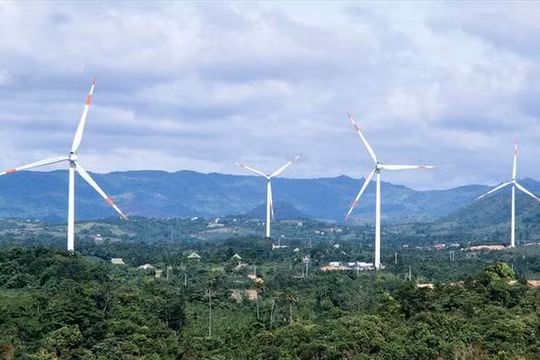 GE Việt Nam và TRE 'va nhau' ở dự án điện gió tại Lạng Sơn