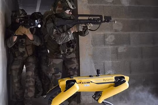 Quân đội Pháp ôm mộng số hóa chiến trường với "siêu khuyển robot"