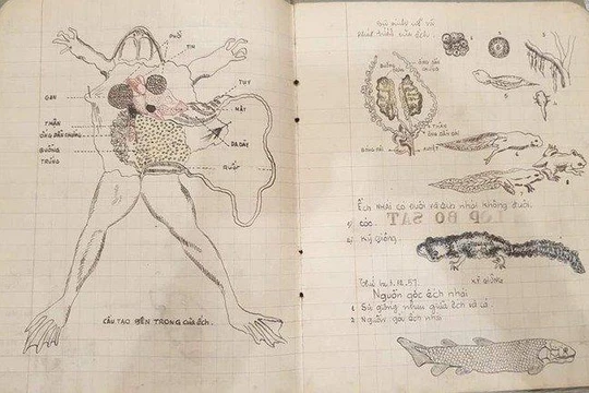 Quyển vở Sinh học hơn 60 năm trước khiến dân mạng "ngả mũ thán phục"