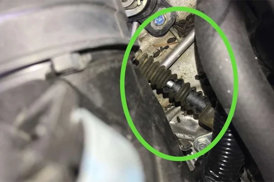 Dấu vết chuột cắn phá trong chiếc Honda Civic. Ảnh: David Albin