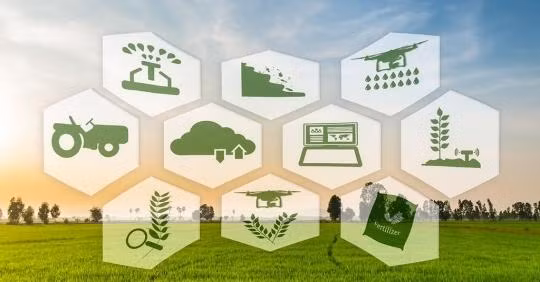 Nông dân cần được quan tâm nhất khi tiến hành nông nghiệp số