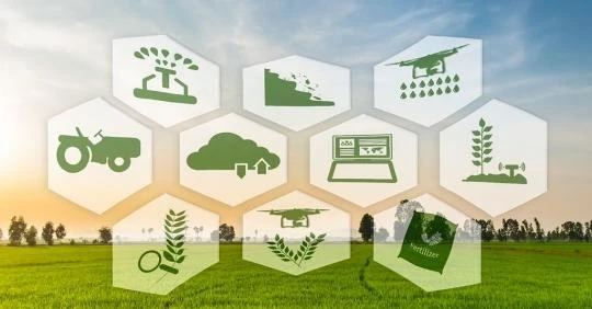 Nông dân cần được quan tâm nhất khi tiến hành nông nghiệp số