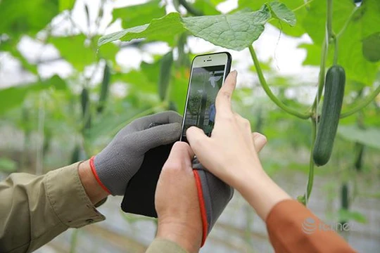 Giúp nông dân chuyển đổi số