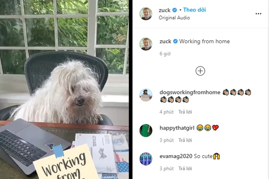 Mark Zuckerberg đăng video đầu tiên trên Reels và thu hút 58.000 lượt like sau vài tiếng đồng hồ.