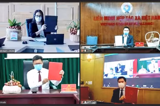 Hợp tác thúc đẩy chuyển đổi số để tiêu thụ nông sản