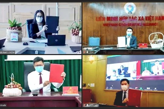 Hợp tác thúc đẩy chuyển đổi số để tiêu thụ nông sản