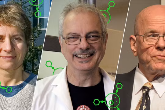 Giải Nobel Hóa học: Mở ra lĩnh vực mới đầy tiềm năng