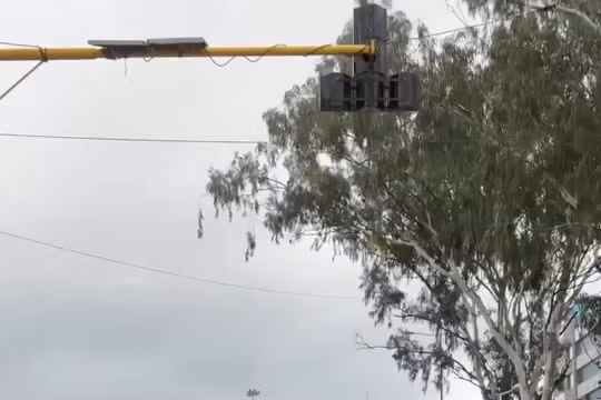 Hotgirl mạng xã hội gặp rắc rối vì nhảy giữa đường để quay video "sống ảo"